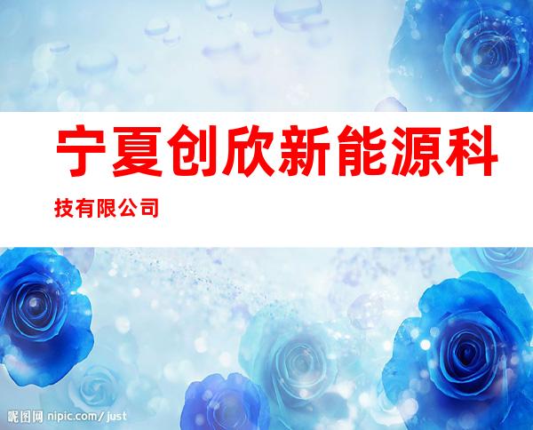 宁夏创欣新能源科技有限公司